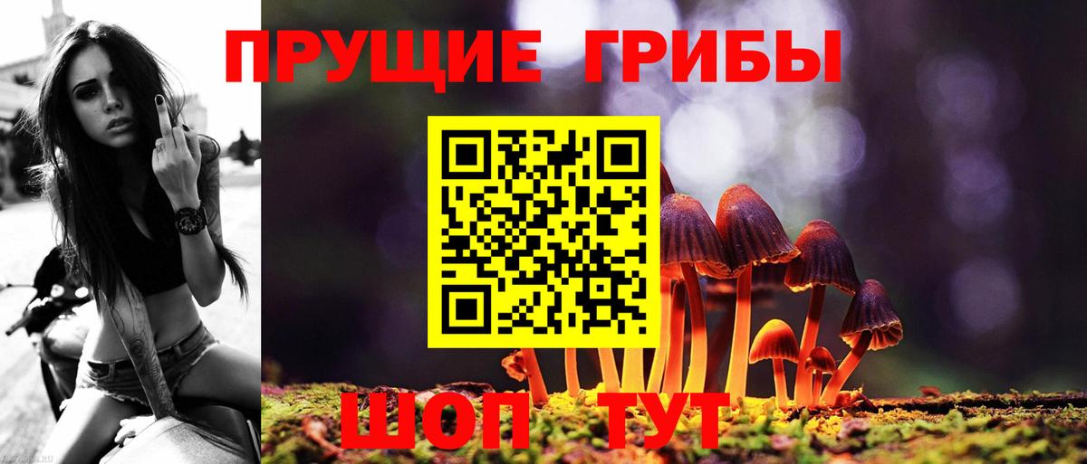 Чебоксары  Псилоцибиновые грибы MAGIC MUSHROOMS  Вход с VPN 