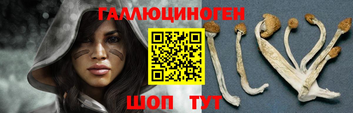 Галлюциногенные грибы ЛСД Чебоксары